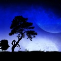 Blue Moon (ブルームーン) icon