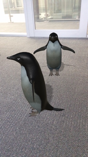 Kolb Antarctica Experience: AR(圖1)-速報App