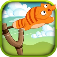 Cats vs Dogs Challenge sur PC