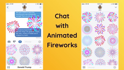 Animated Fireworks Stickers screenshot 2