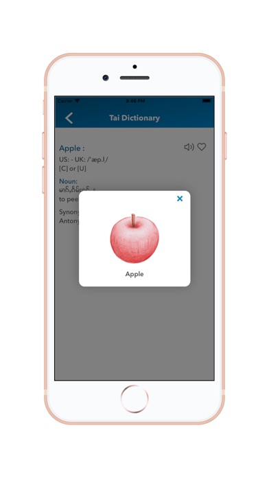 Tai Dictionary screenshot 4