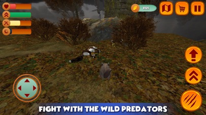 Furry Chinchilla Animal Sim screenshot 3