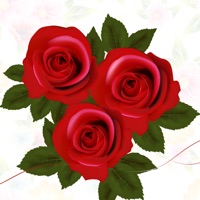 Bouquet Stickers Pack PC 용