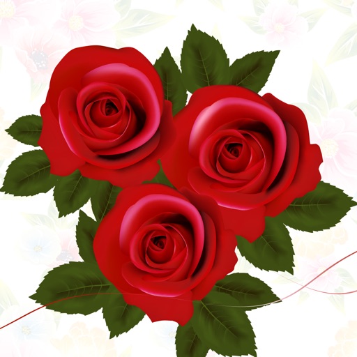 Bouquet Stickers Pack iOS App