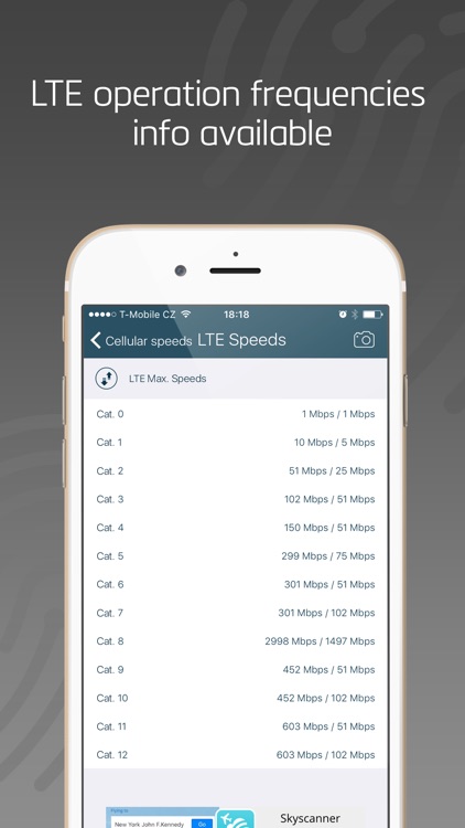 LTE Cell Info: Network Status