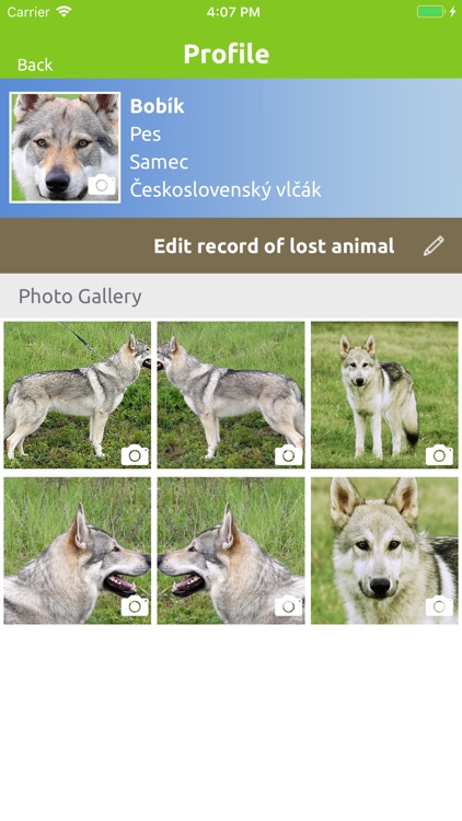 Centralniregistrzvirat.cz screenshot-3