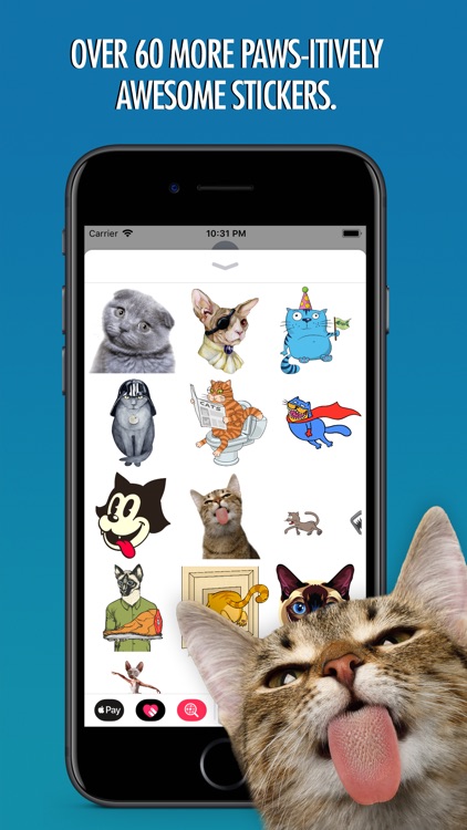 Cats Animated Text Stickers 3