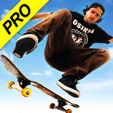 Activities of Skateboard Party 3: Pro