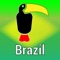 In The Birds of Brazil all species of birds regularly found in Brazil (>1,700) are described, and their approximate size given in inches and tenths of inches