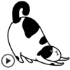 Animated Chubby Cat Sticker