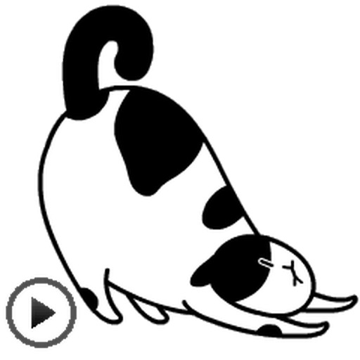 Animated Chubby Cat Sticker icon