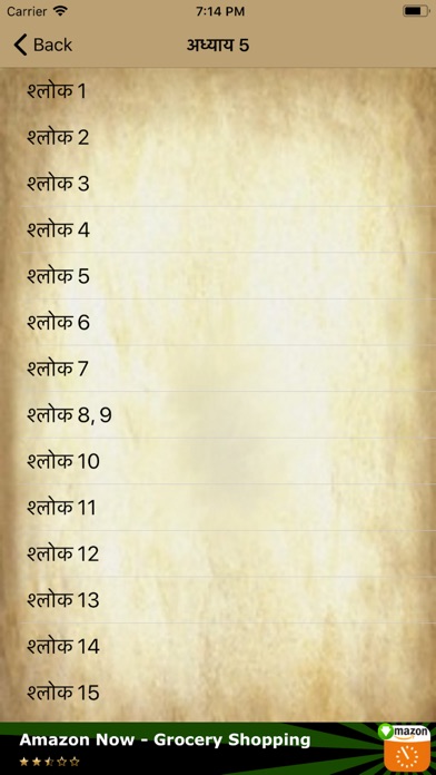 Bhagavad Geeta in Hindi screenshot 4