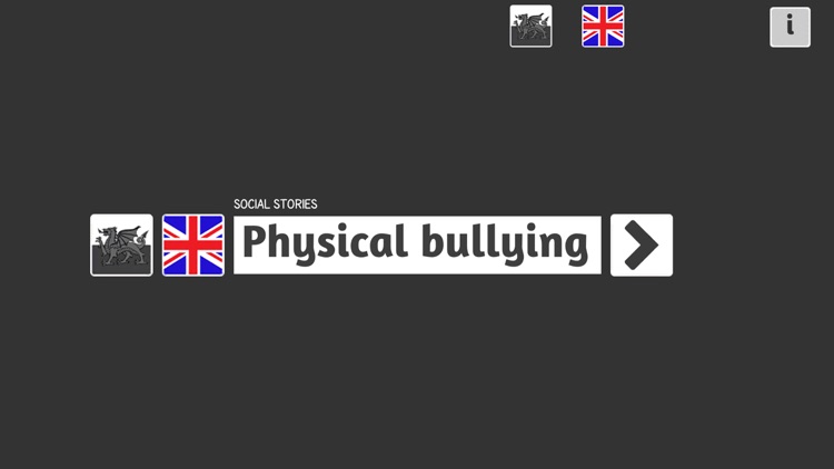 Physical Bullying