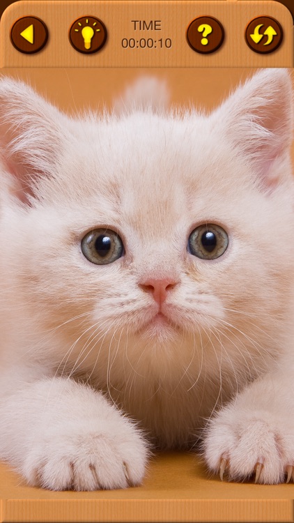 Cat Kitten Jigsaw Puzzle Games screenshot-6