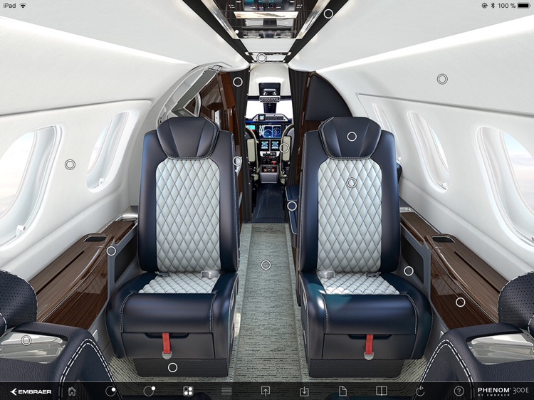 Phenom 300E Configuration Tool