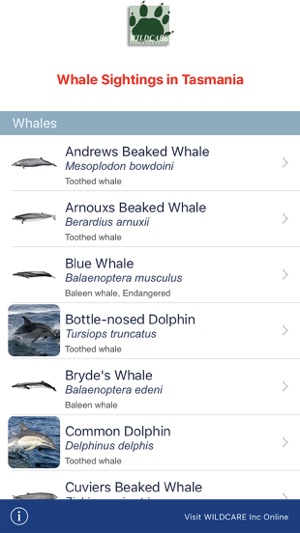 Whales and Seals(圖1)-速報App