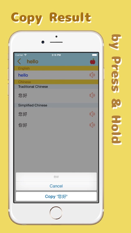 EasY - Chinese Dictionary 英汉词典