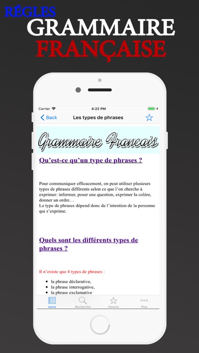 Régles Grammaire française screenshot 3