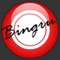 Make BINGO fun with Bingru