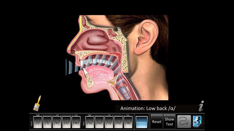 Vowels Front Back screenshot-3