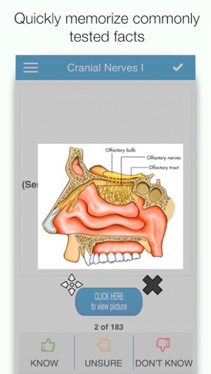 NBDE Anatomy/Histo Cram Cards