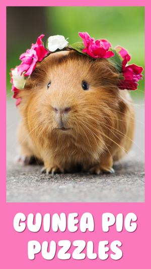 Guinea Pig Kids Jigsaw Puzzle