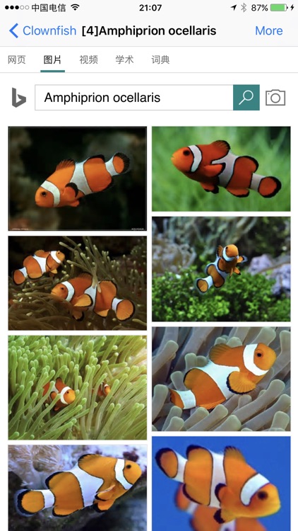 Marine Aquarium Fish screenshot-4