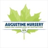 Augustine Nursery