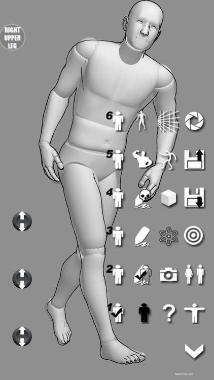 KineBody: Movable 3D Human Model