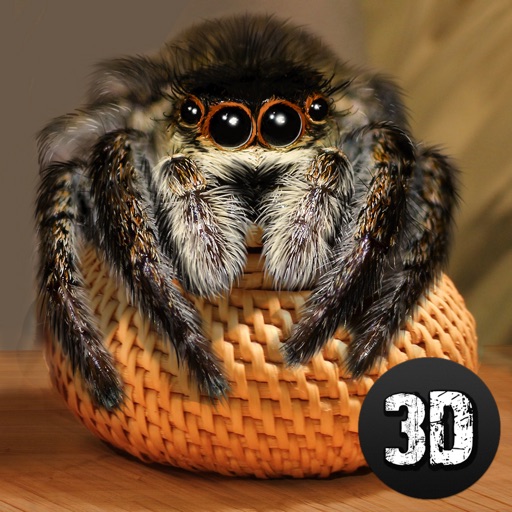 House Spider Survival Simulator 3D