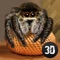 Ever dreamed to live a life of a little wild predator – home web-spinning spider