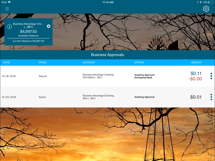 UB Biz for iPad screenshot-3