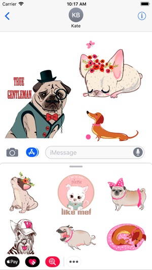 Pug French bulldog & Dachshund(圖2)-速報App