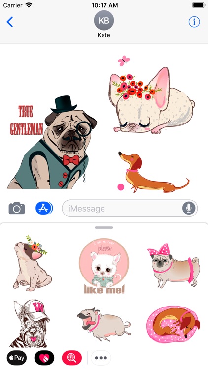 Pug French bulldog & Dachshund