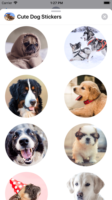 Cute Dog Sticker Set screenshot 3