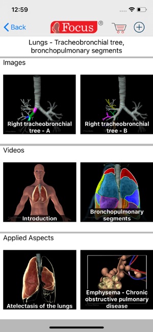 LUNGS - Digital Anatomy(圖3)-速報App