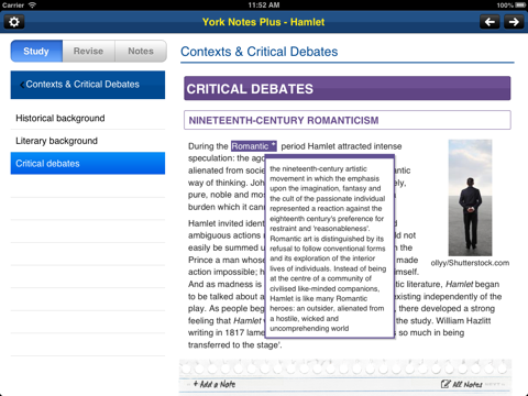 Hamlet York Notes AS A2 iPad screenshot 2
