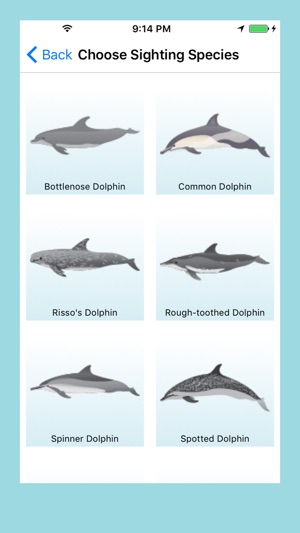 Whale and Dolphin Tracker(圖3)-速報App