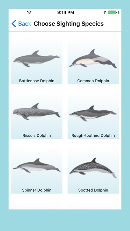 Whale and Dolphin Tracker