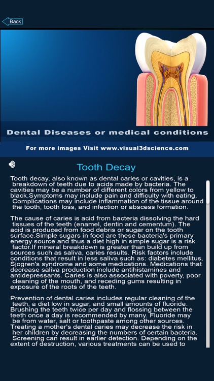 My Dental Anatomy screenshot-4
