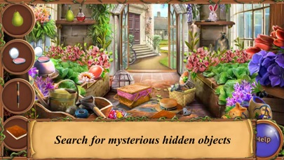 Hidden Secret: The Flowers screenshot 3