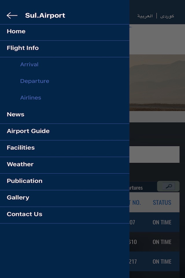 Sul. International Airport screenshot 3