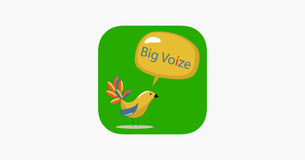 big voize dialer