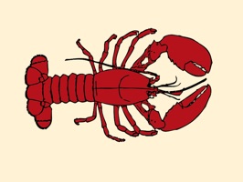 Lucky Lobster Stickers