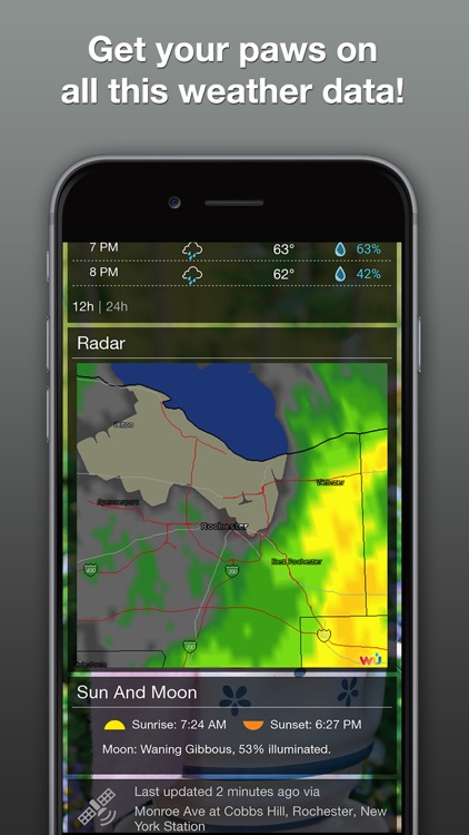 Grumpy Cat's Funny Weather screenshot-4