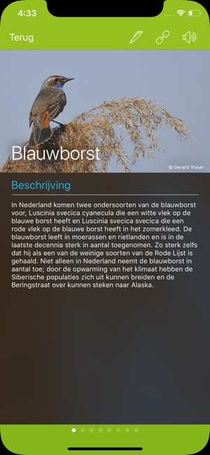 Vogels in Nederland(圖4)-速報App