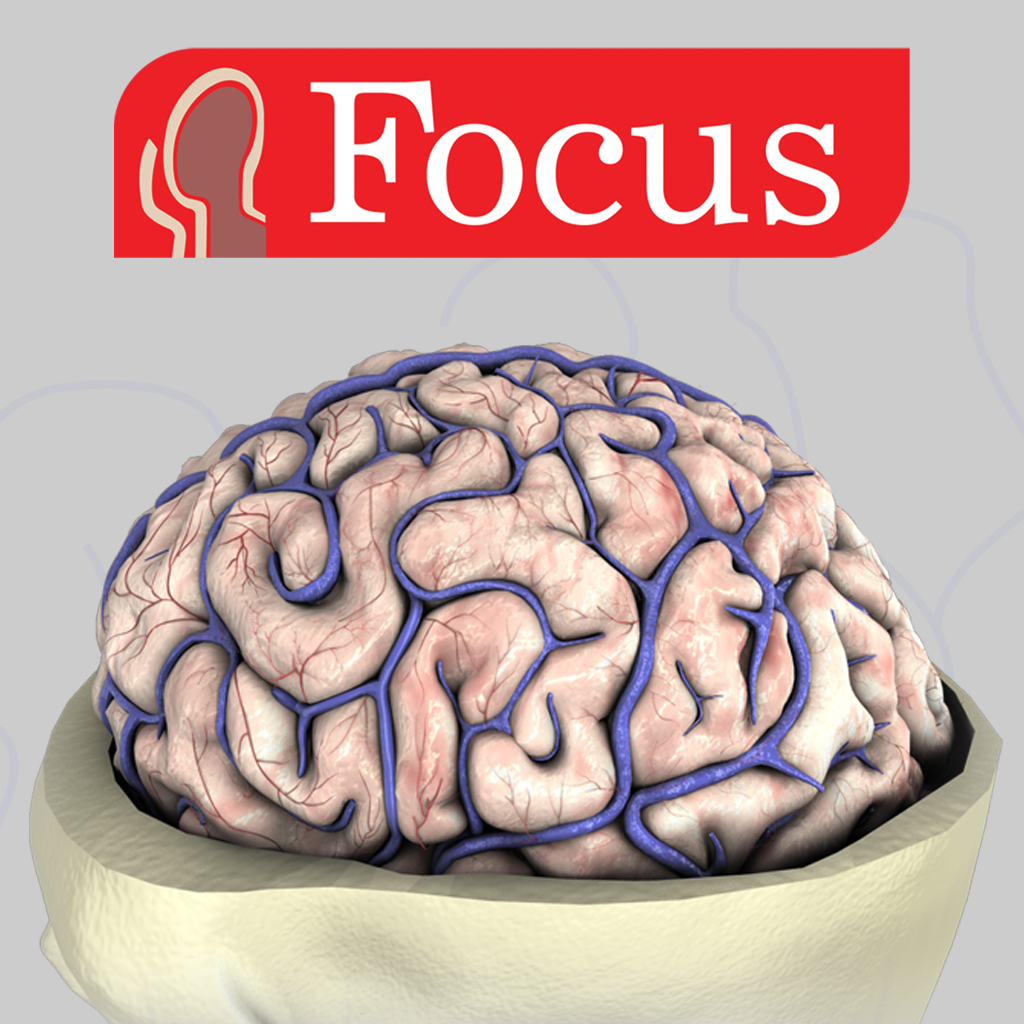NEUROANATOMY - Digital Anatomy App Icon