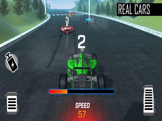 Furious Formula Driving screenshot 3