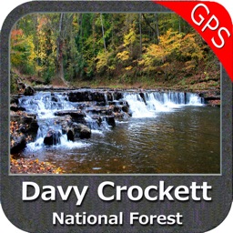 davy crockett forest national