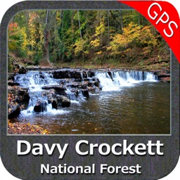 Davy Crockett National Forest